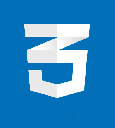 css3 logo