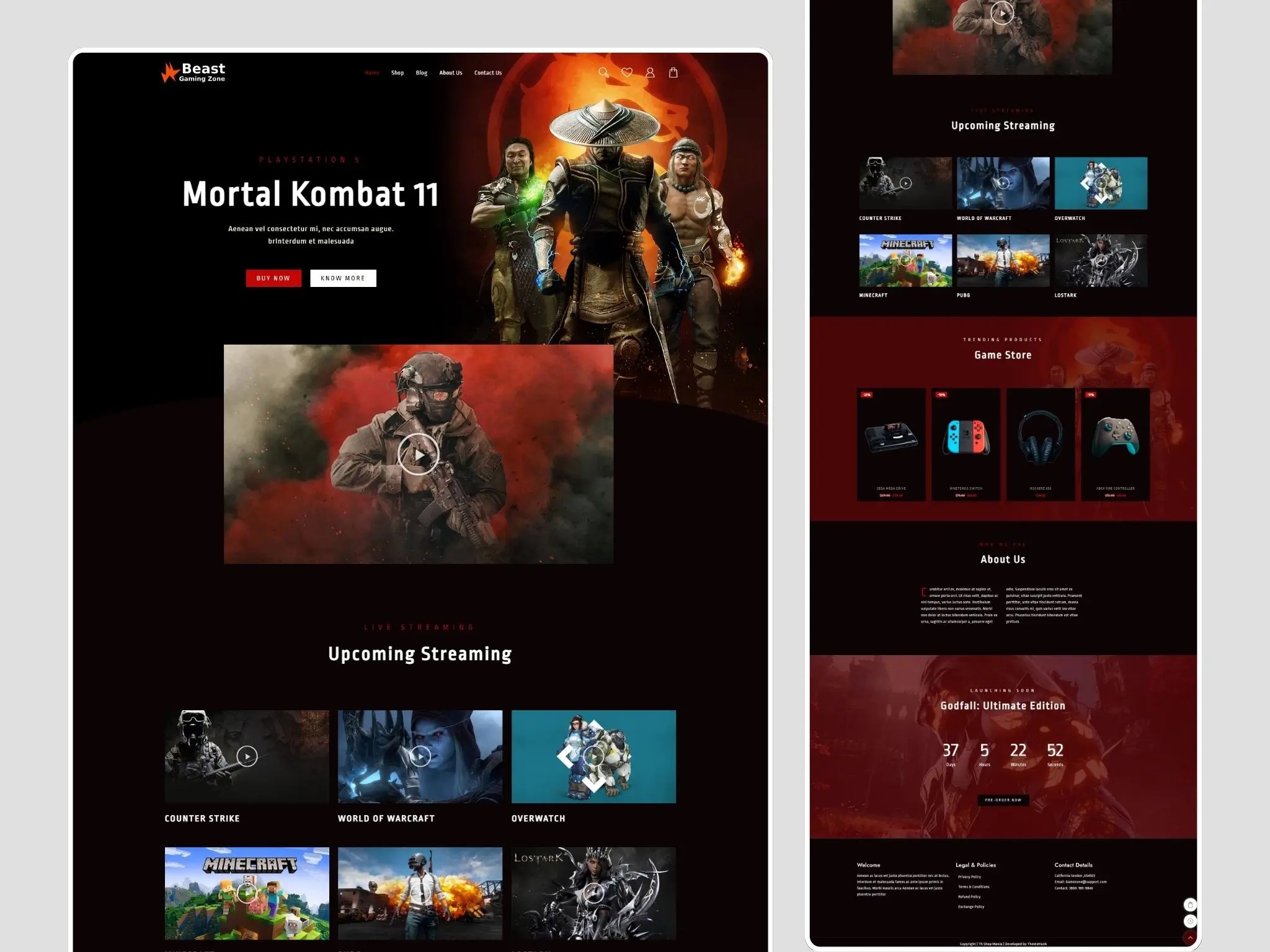 Video Gaming and eSports Store