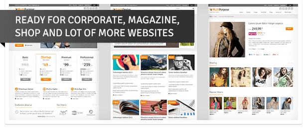 Ready For Any Type of Website