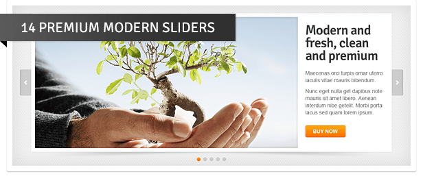Premium Sliders