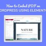How To Embed PDF Using Elementor Page Builder? ( With Video Tutorial )