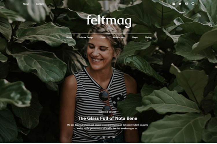 Luxi is a stunningly beautiful minimal woocommerce theme that has class and sophistication. Highend WordPress Theme - 5 Great Options