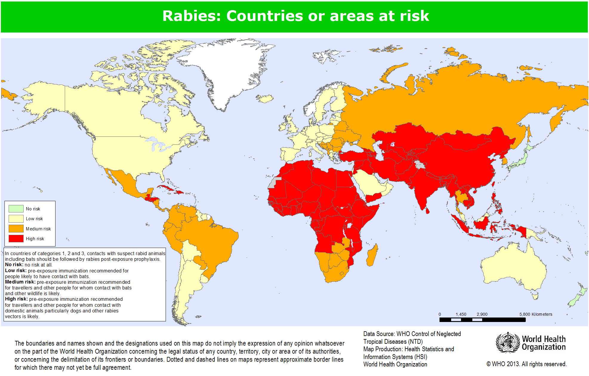 Disease Spotlight: Rabies | the meowing vet