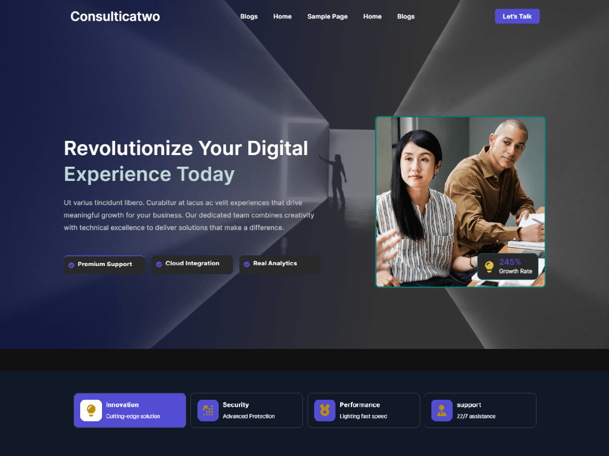 WordPress主题:Consulticatwo