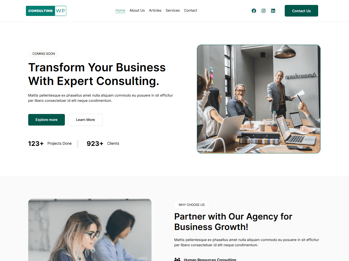 WordPress主题:ConsultingWP Light
