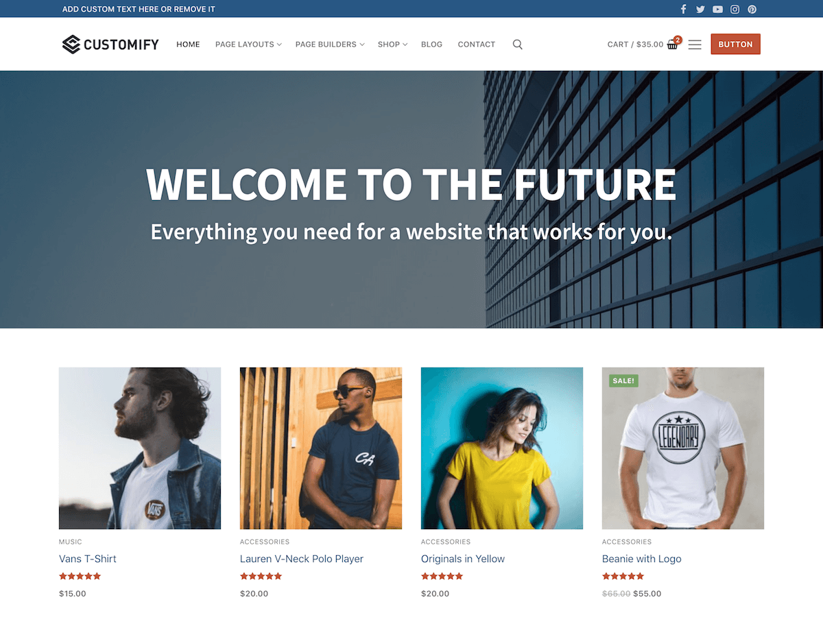 Customify WordPress theme preview