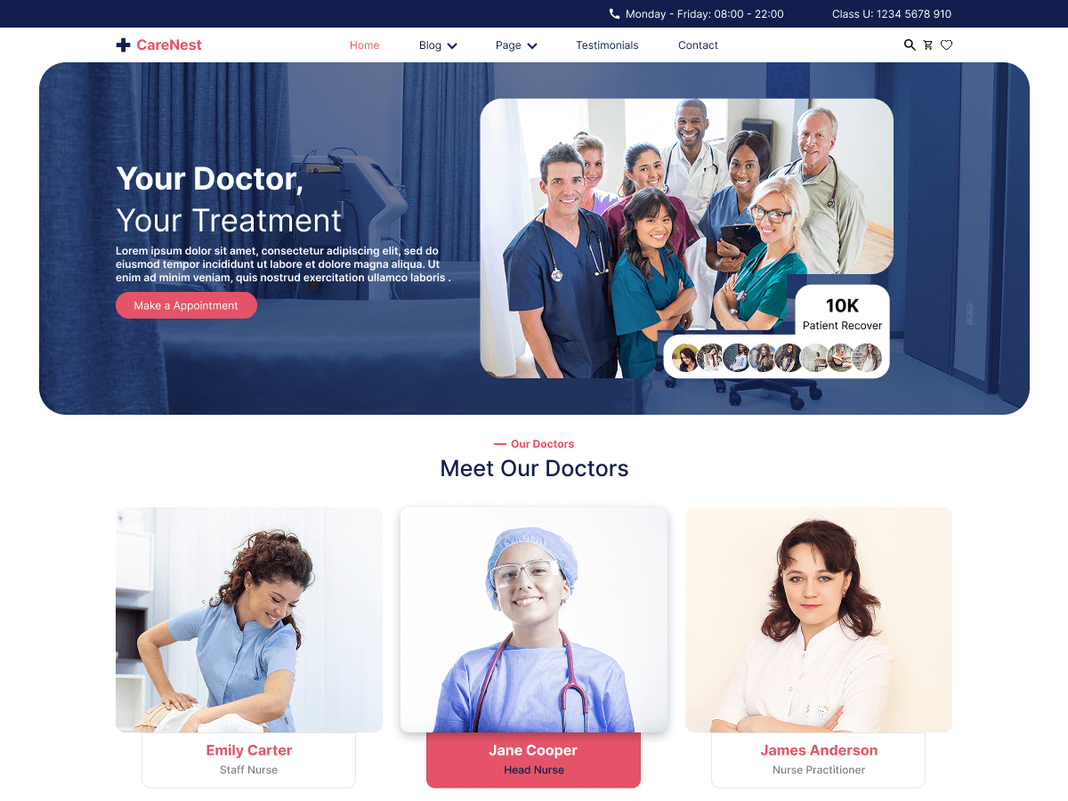 WordPress主题：Expert Nurses
