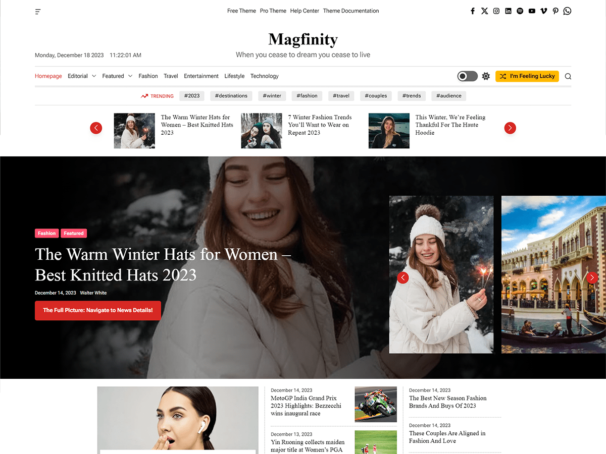 Magfinity WordPress 主题