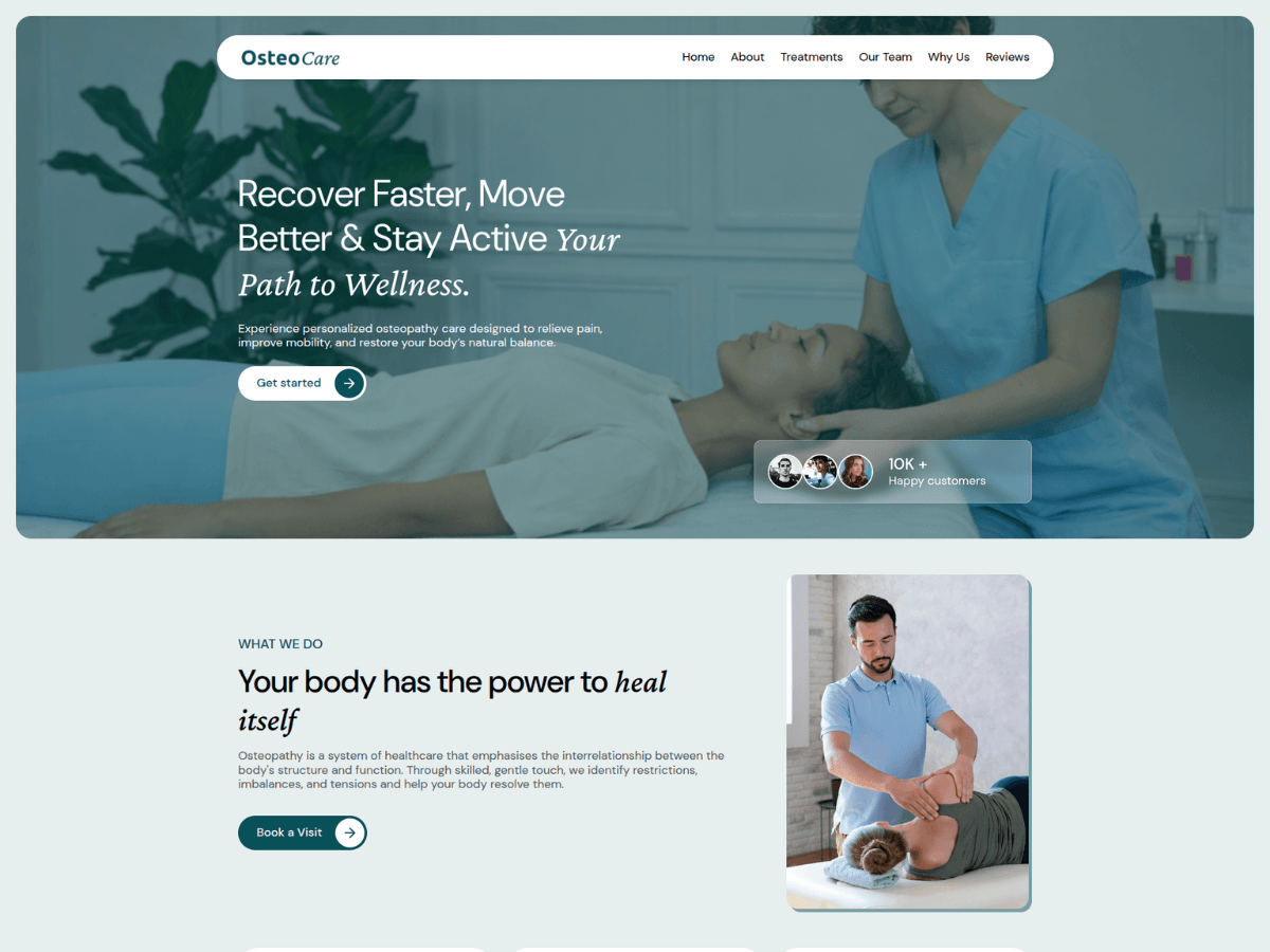 WordPress主题:Osteo Care