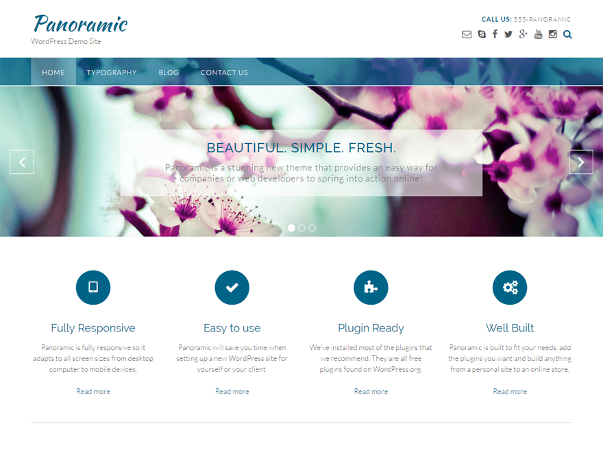 Panoramic