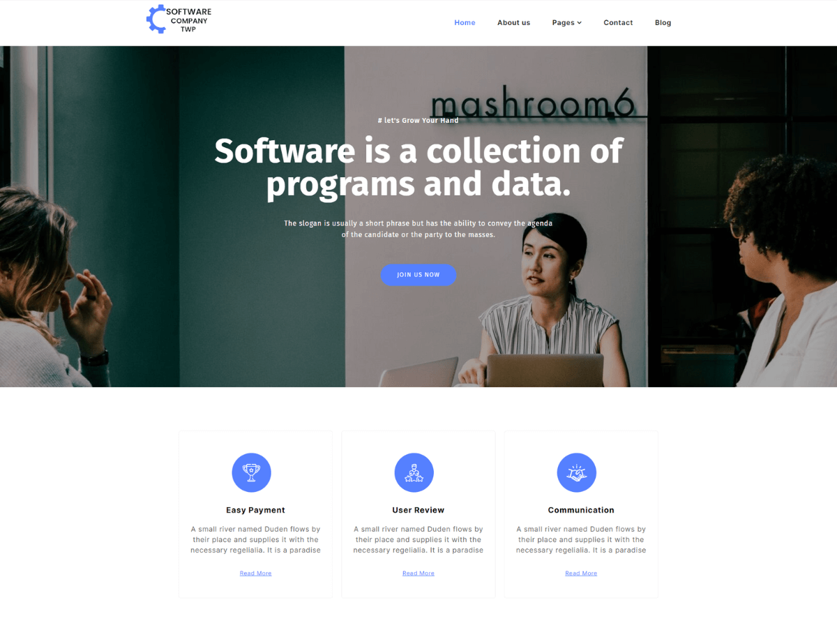 Software Elementor WordPress 主题