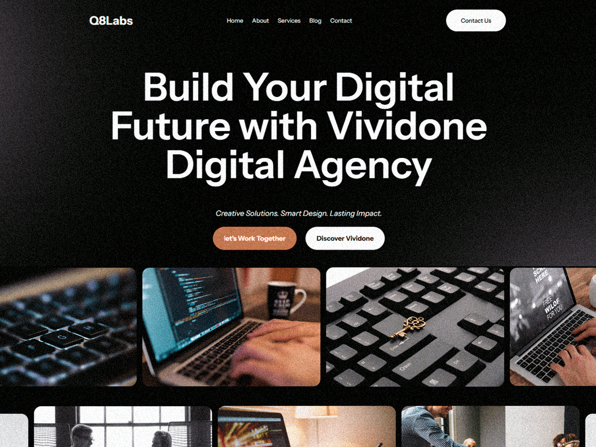 WordPress主题：Vividone