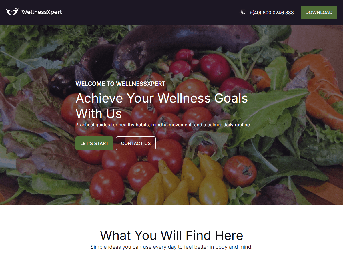 WordPress主题：WellnessXpert