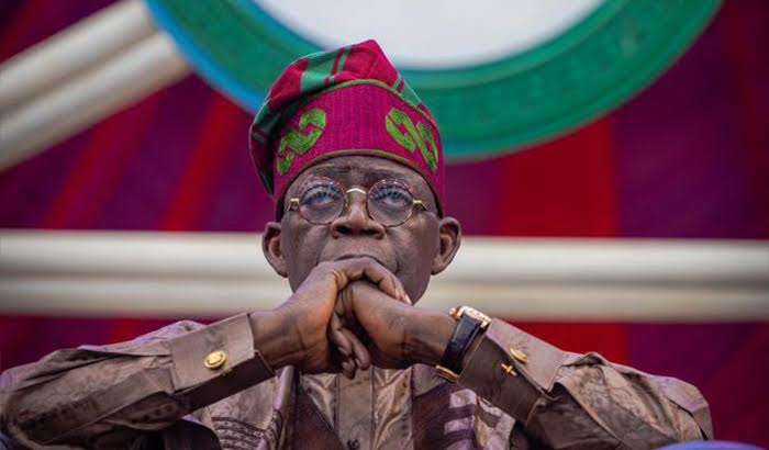Tinubu Orders Armed Forest Guards to Reclaim Nigeria’s Forests from Terrorists and Kidnappers