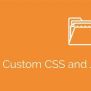 Simple Custom CSS And JS PRO - ThemeValue
