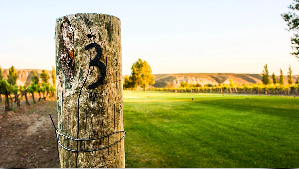Y Knot Winery (Crossings Winery) logo