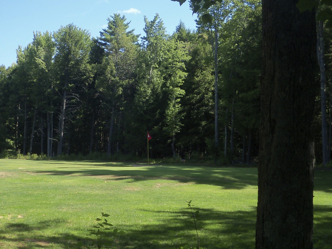 Lebanon Pines Golf Course logo