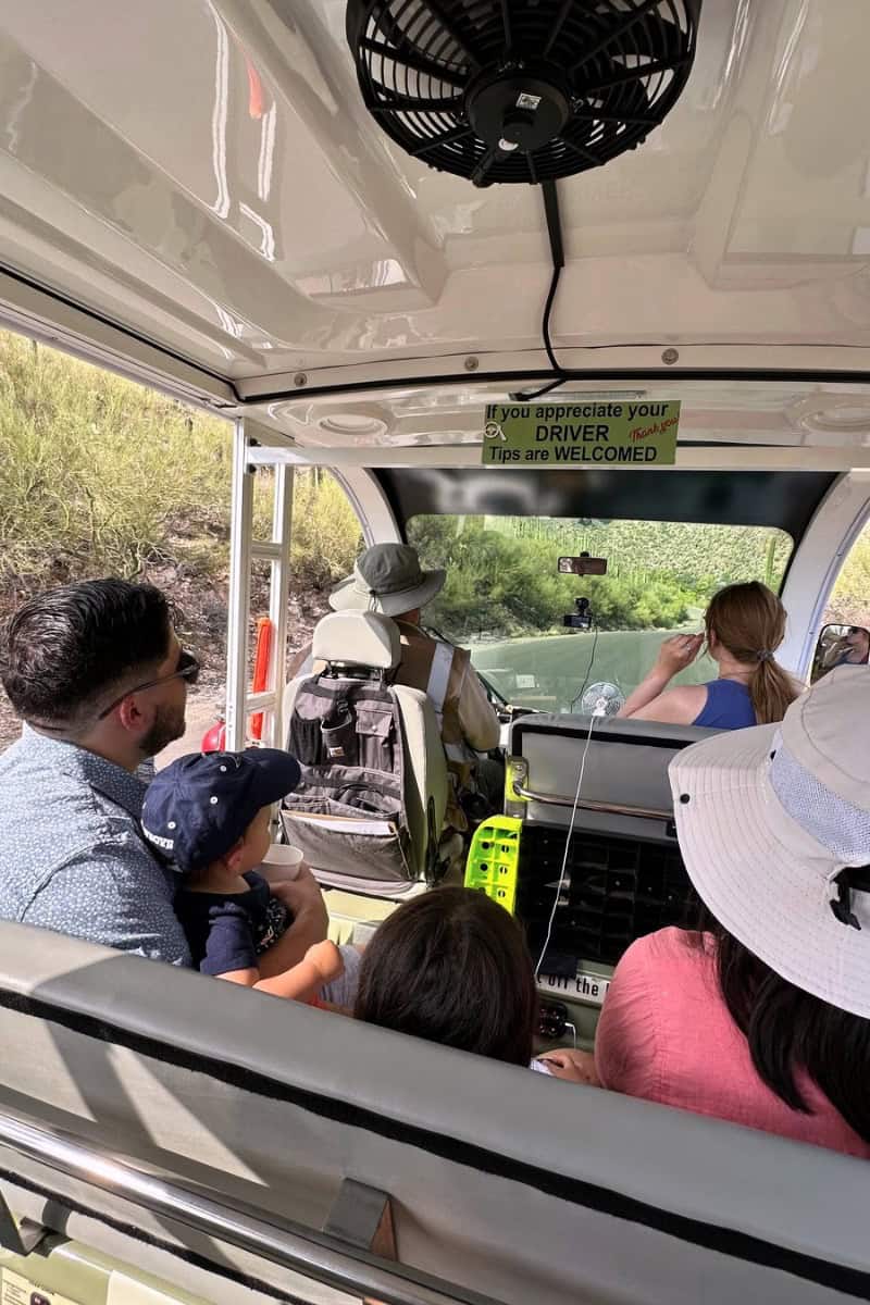 Sabino Canyon Crawler Tucson with Kids