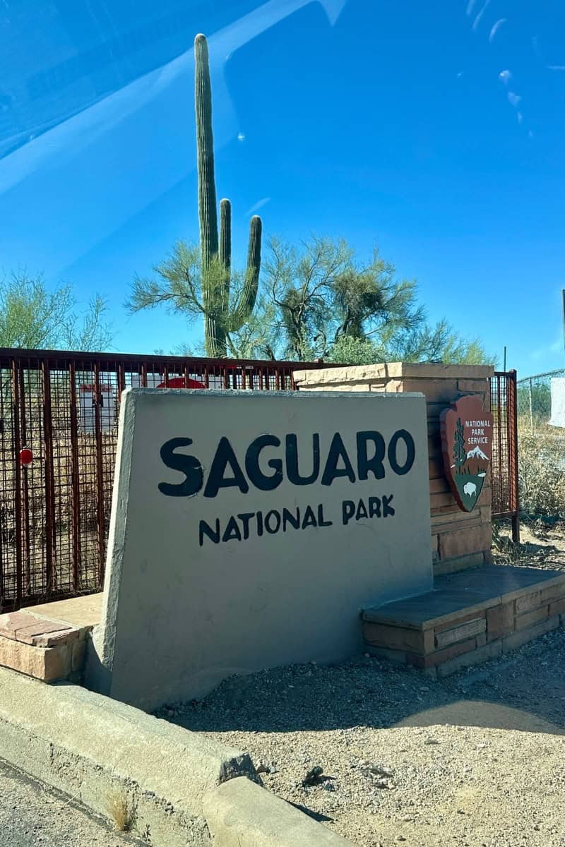 Saguaro National Park with Kids