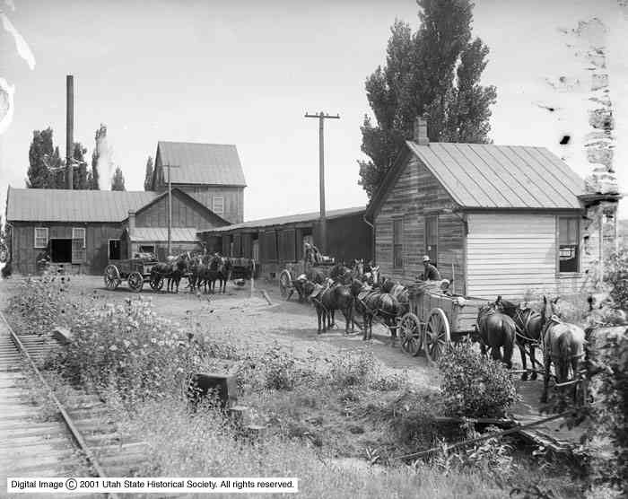 House with wheels pulling by the horses