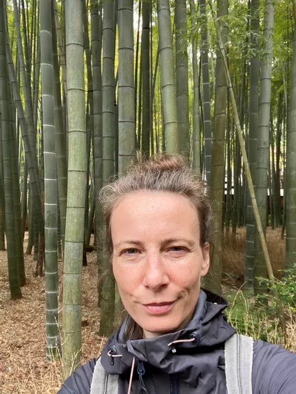 Forest Bathing Guide Germany