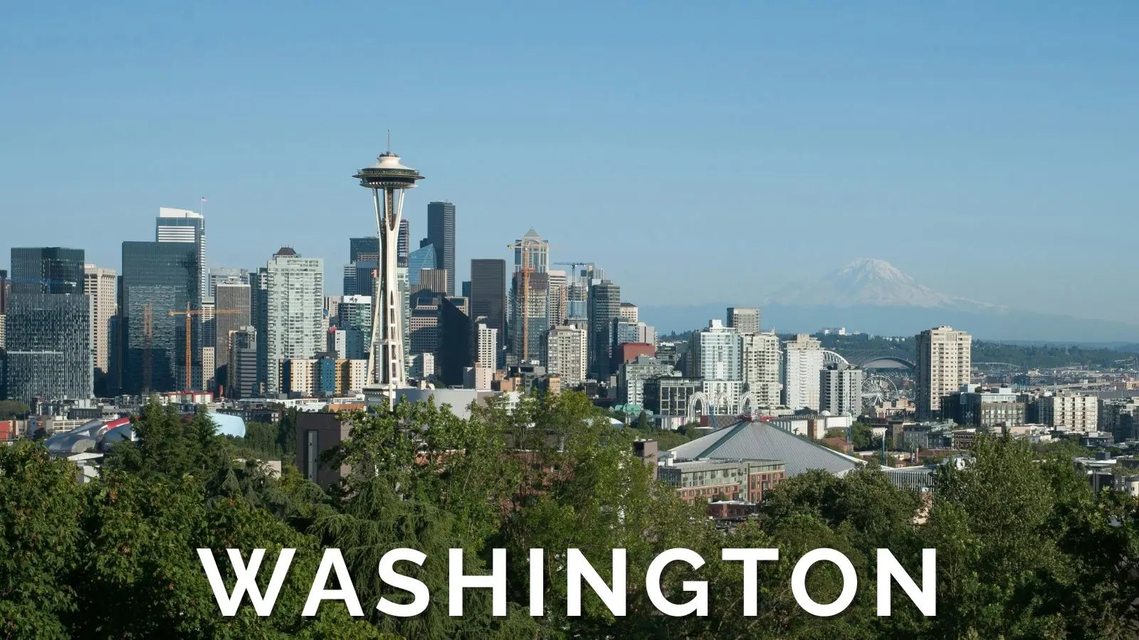 Washington mobile dog grooming – Seattle skyline with Space Needle and Mount Rainier