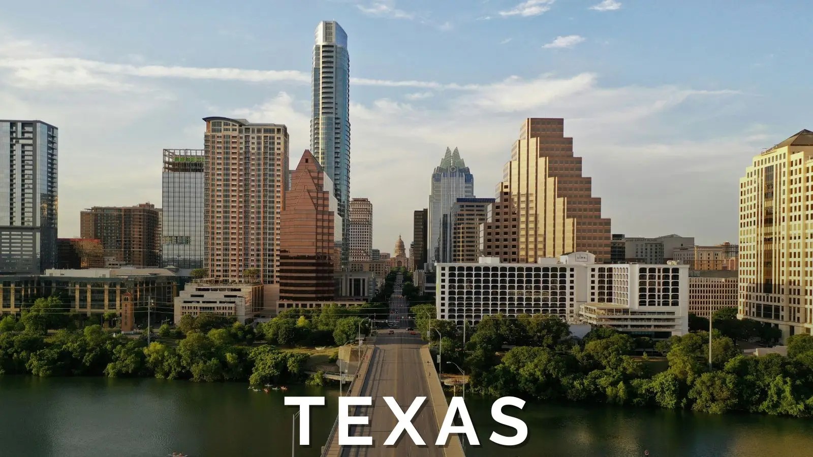 Texas mobile dog grooming – Austin skyline