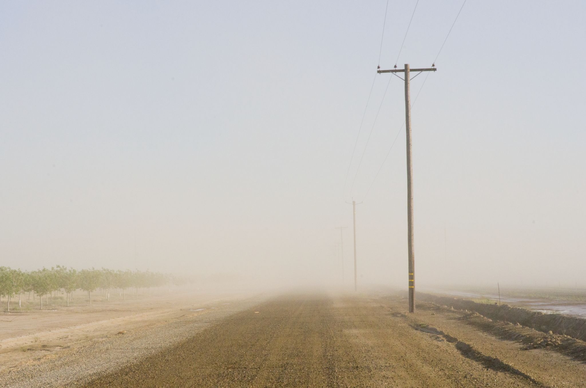 Summer agriculture, end of school may bring upswing in Valley Fever cases
