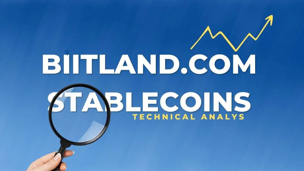 Biitland.com Stablecoins