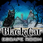 Black cat escape room