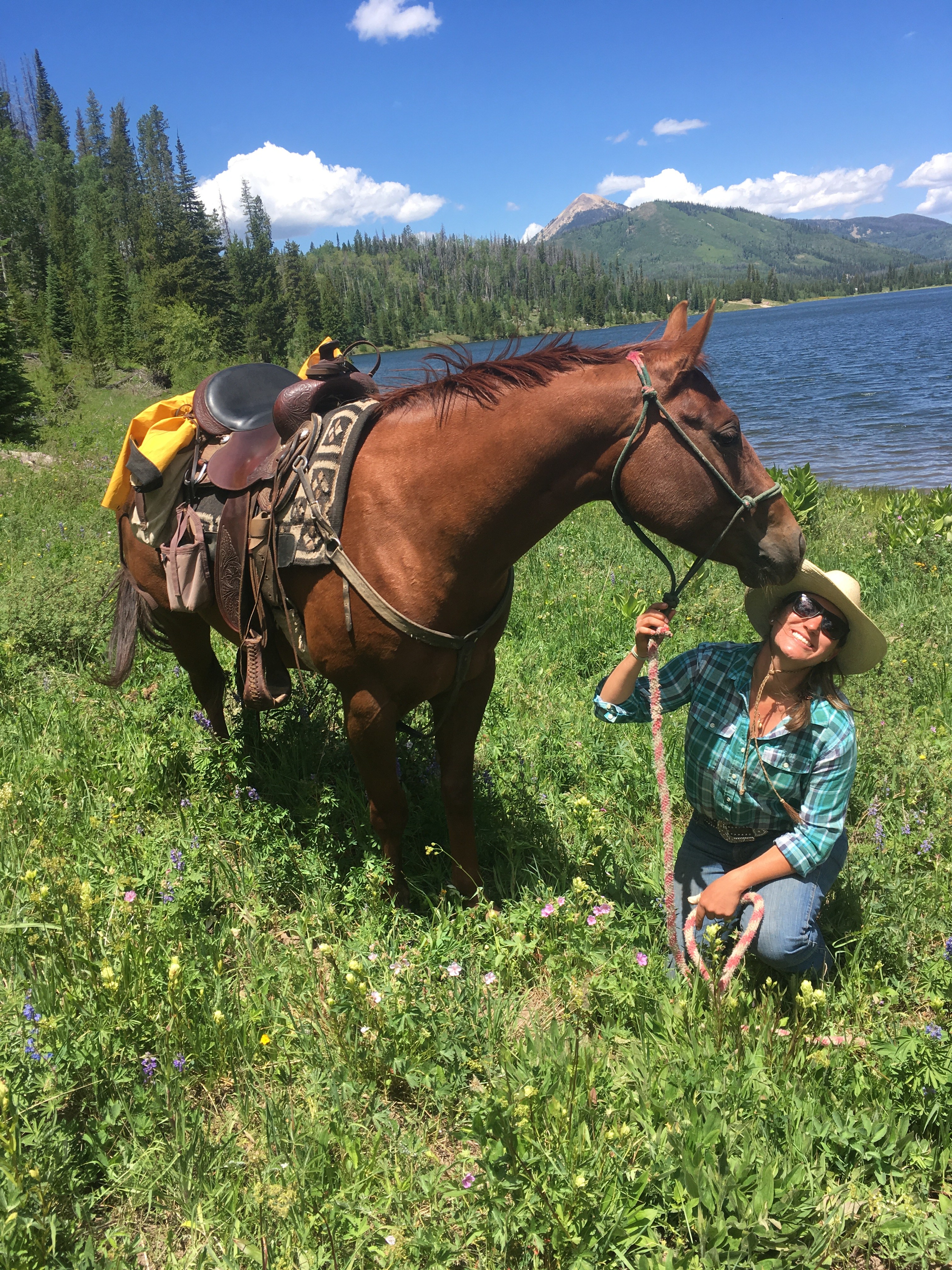 What is Leasing a Horse and How to Find a Horse to Lease
