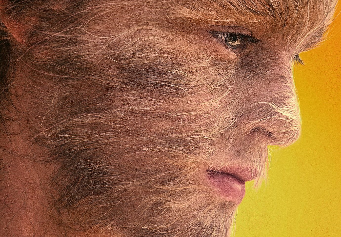 реальная история мальчика-волчонка 2021. реальная история мальчика-волчонка (2019). история мальчика волчонка. джейден мартелл мальчик волчонок. джейден мартелл мальчик волчонок.