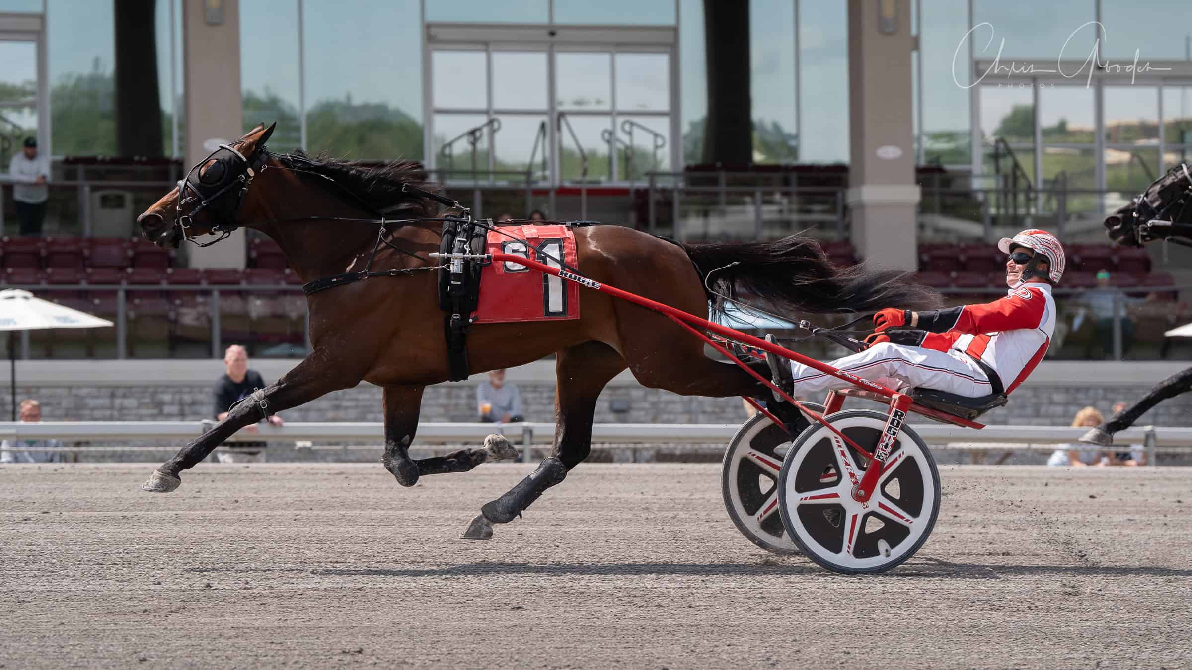 Standardbred horse racing at The Meadows racetrack.