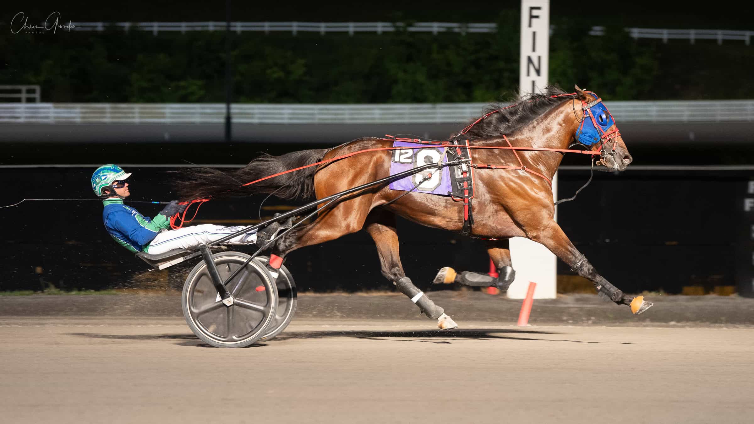 Harness racing horse and driver at The Meadows racetrack.
