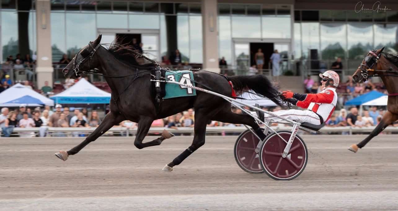Harness racing horse with driver in a sulky during a race at The Meadows.
