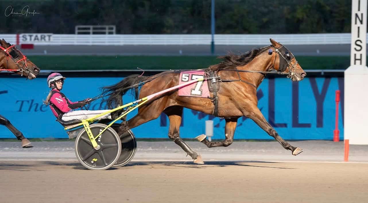 Harness racing horse with driver competing at The Meadows racetrack.