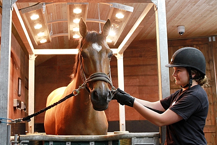Reaseheath College And Rookery Equine Launch New Training Course - Best Geometric Wallpapers in Full HD