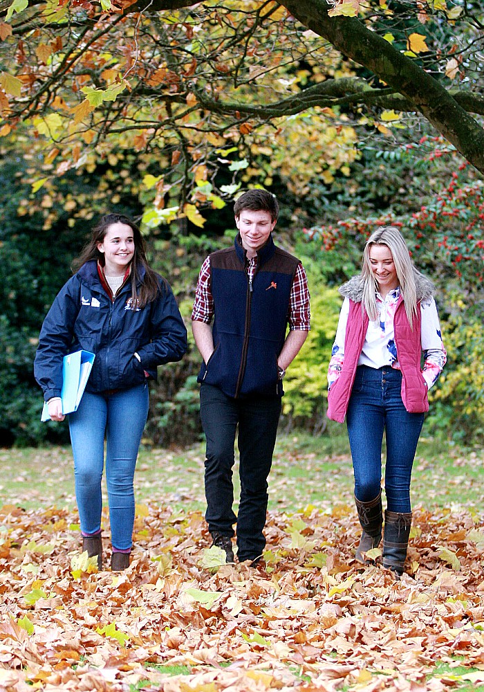 Ofsted Care Standards Report Reaseheath College - Ocean Texture Collection - High Resolution Quality