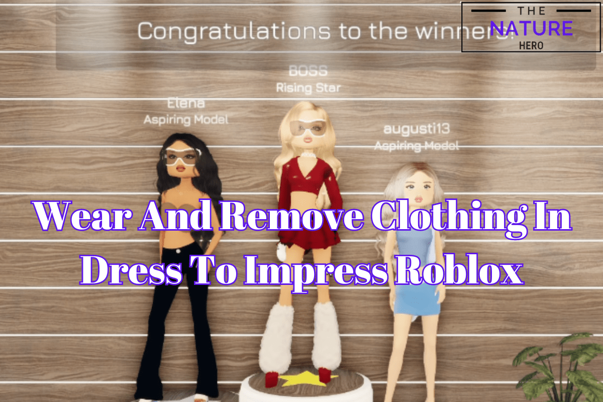Wear And Remove Clothing In Dress To Impress Roblox The Nature Hero Add A Heading 94 