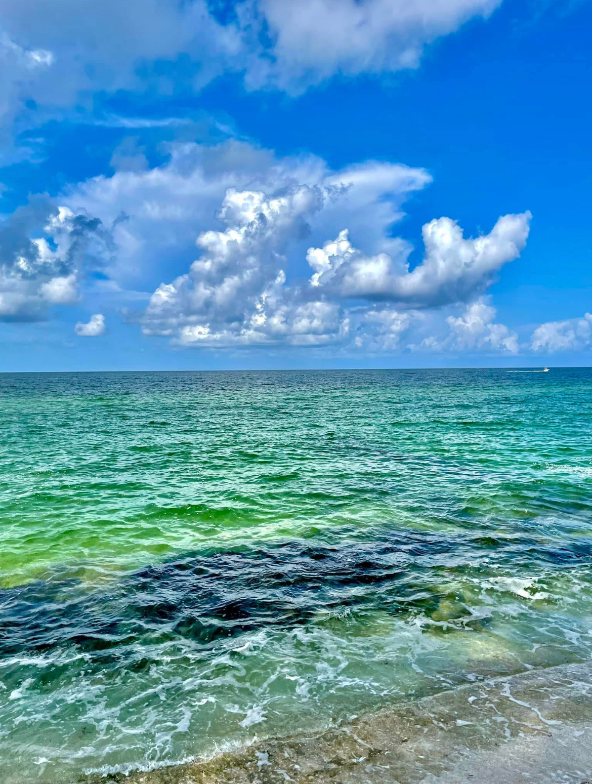 Clear green water and blue skies near Sarasota Venice and Nokomis Florida