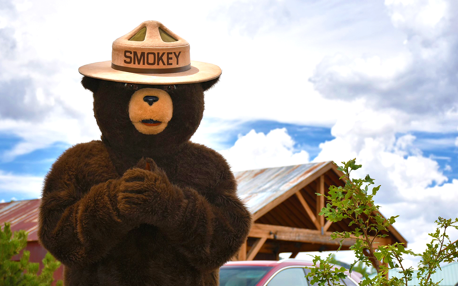 Smokey Bear Authorized by NPS to Maul Noncompliant Campers | The
