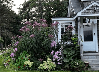 img 0510.webp