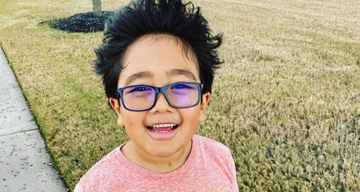 Ryan kaji parents net worth