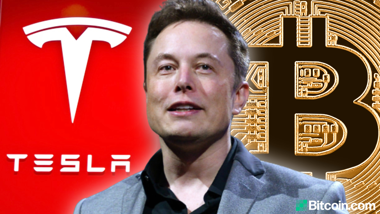ANALYSIS] Elon Musk, Bitcoin, and China: Is This the End? - The New Global  Order