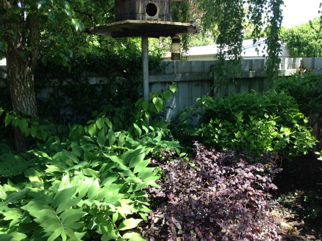 green_and_purple