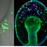 cover-sugg cover-sugg