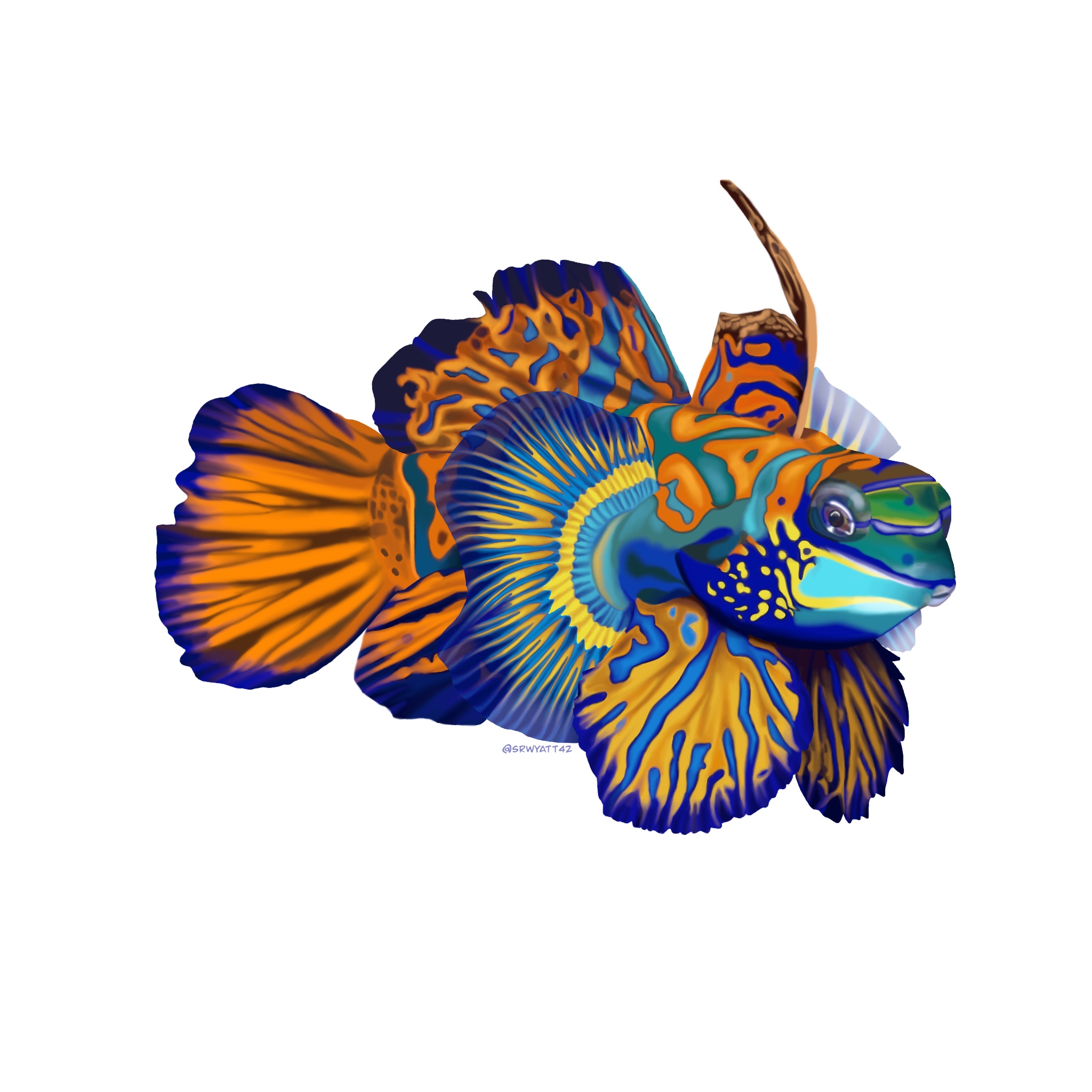 Mandarin Fish: This was one of my earlier #SundayFishSketch pieces. It took me two weeks to get all the details right! Since then, I do quicker pieces for the prompts and more elaborate ones for myself or commissions.