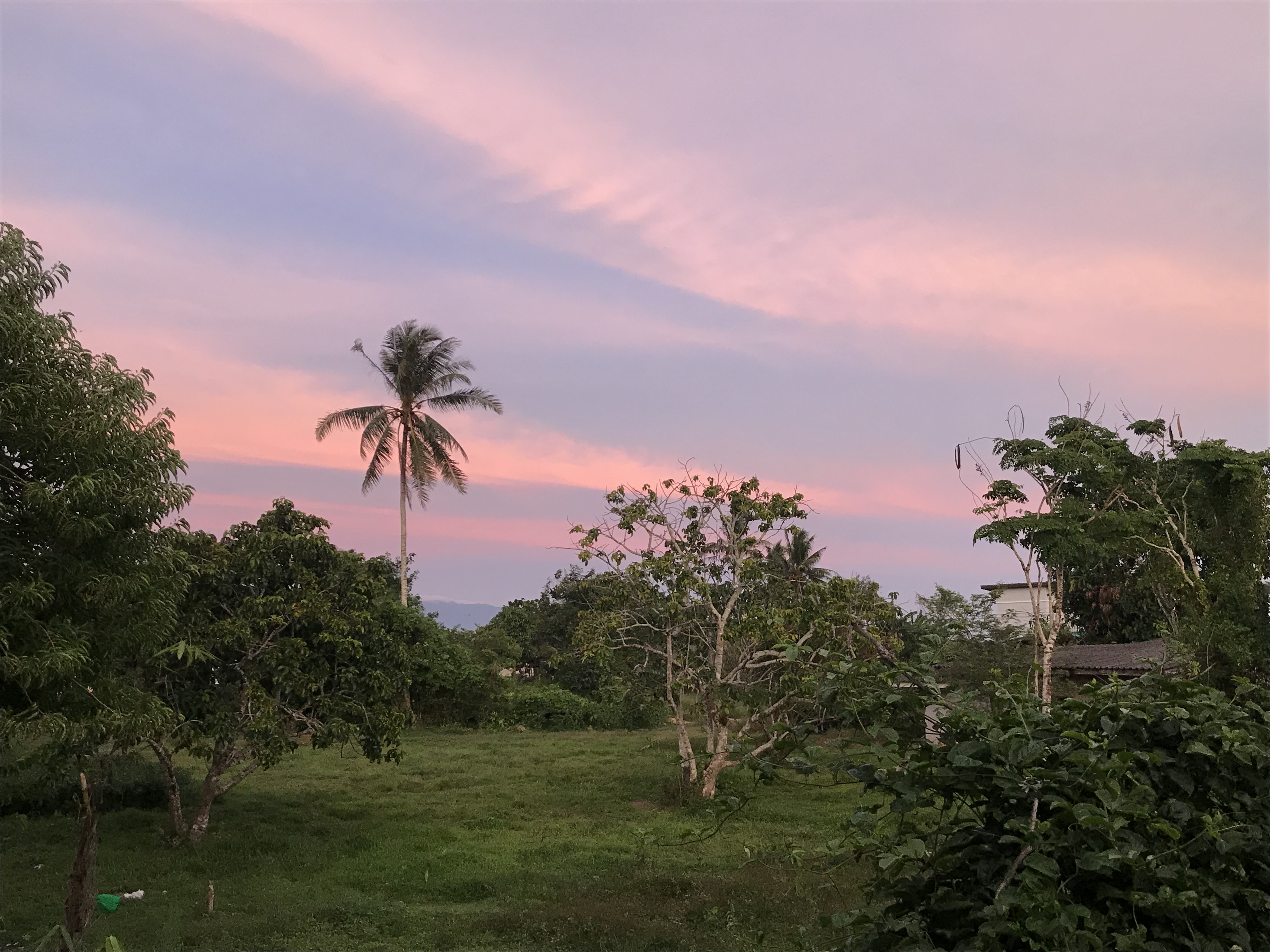 the sunset from our old house