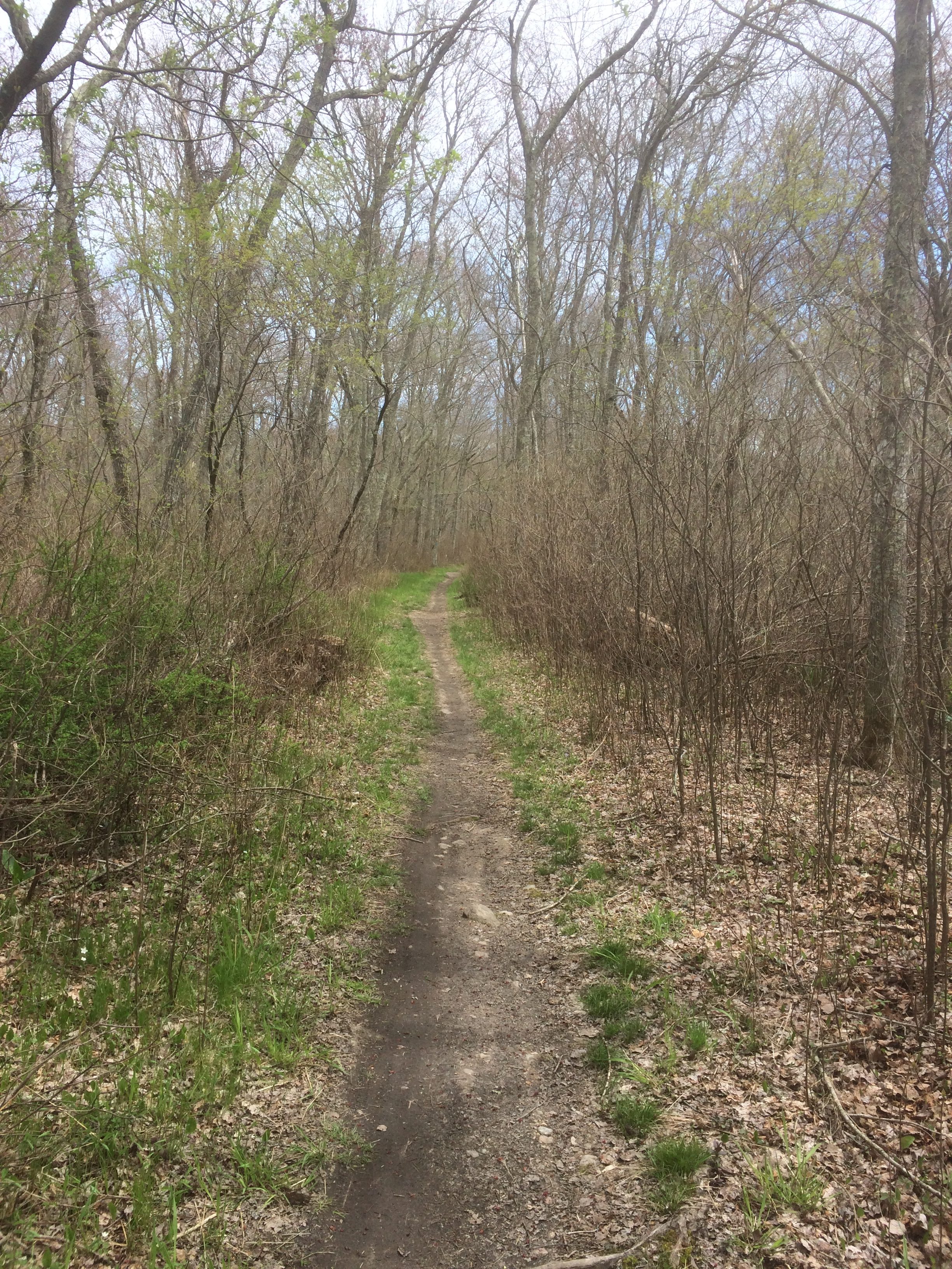 Vin Gormley Trail, Burlingame State Park - The Northeast Hiker