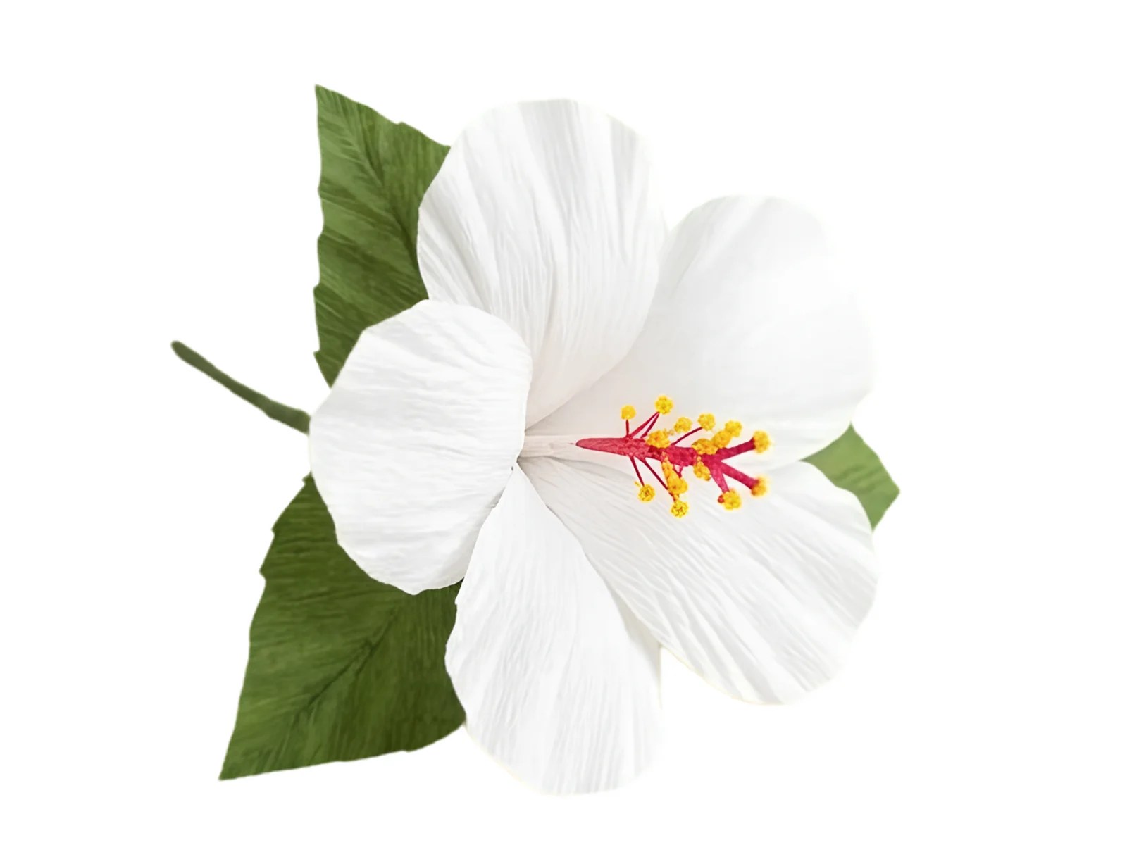 Handcrafted Paper White Hibiscus (Jaswand) Flower